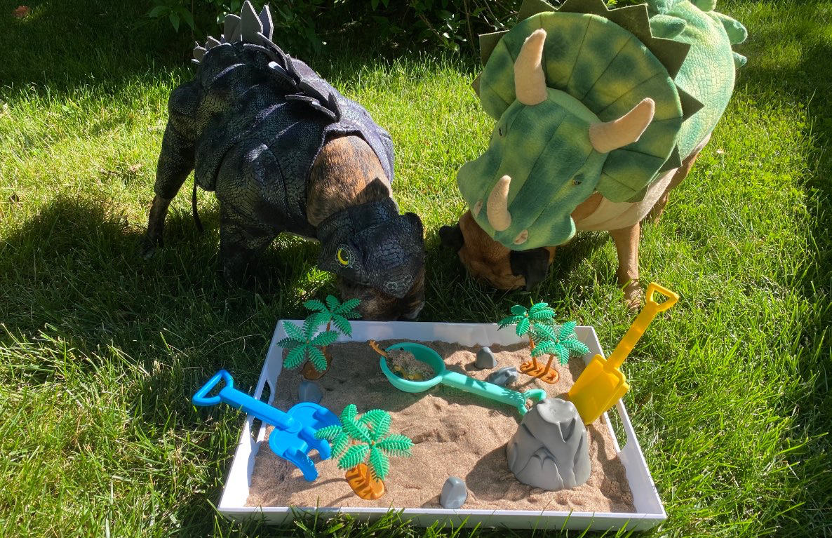 DIY Dino Discovery Box