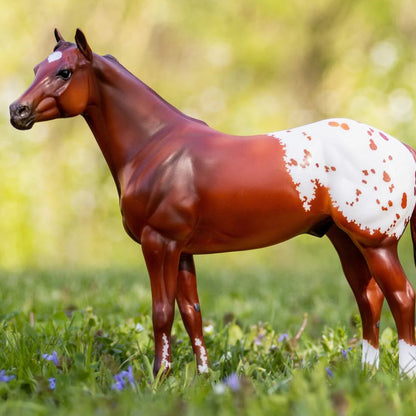 Breyer Traditional Series 1:9 Scale Collectible Appaloosa Horse - Inspired by Orren Mixer