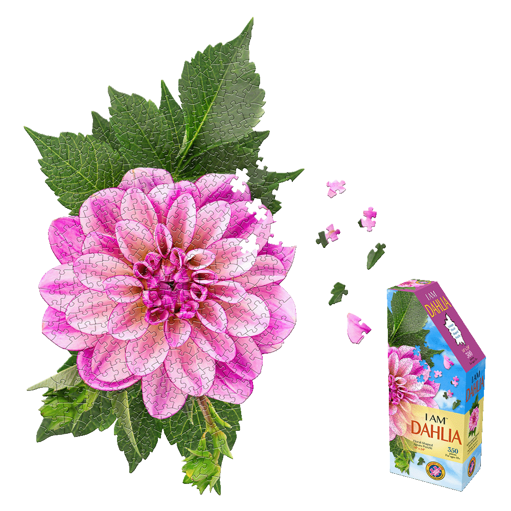 Madd Capp Floral Dahlia Jigsaw Puzzle - 350 pc