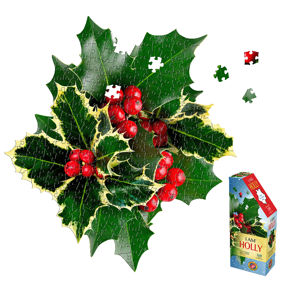 Madd Capp Floral Holly Jigsaw Puzzle - 350 pc