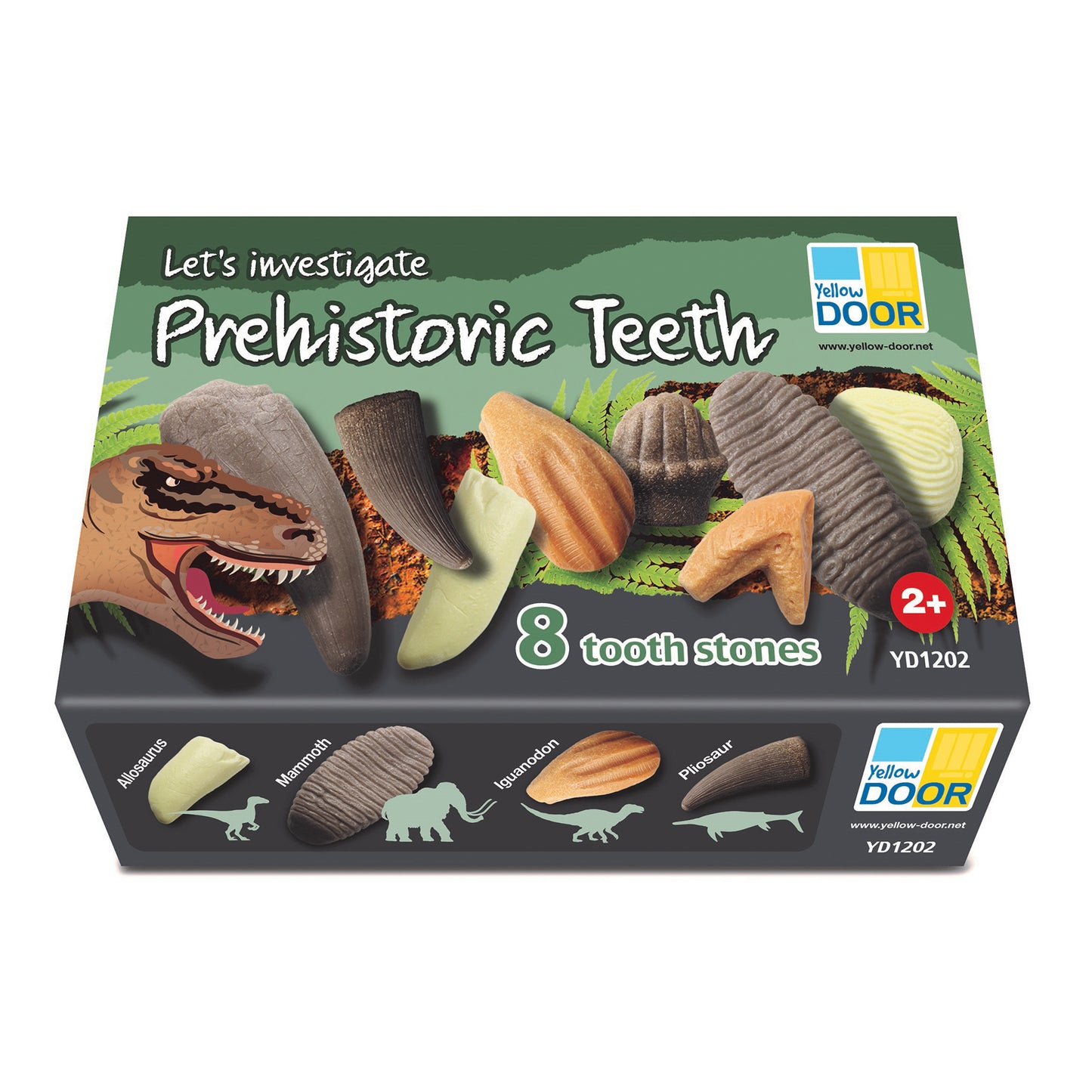 Yellow Door Let's Investigate - Prehistoric Teeth Discovery Set of 8