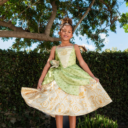 Disney Princess Tiana Premium Washable Dress Up - Size 5/6