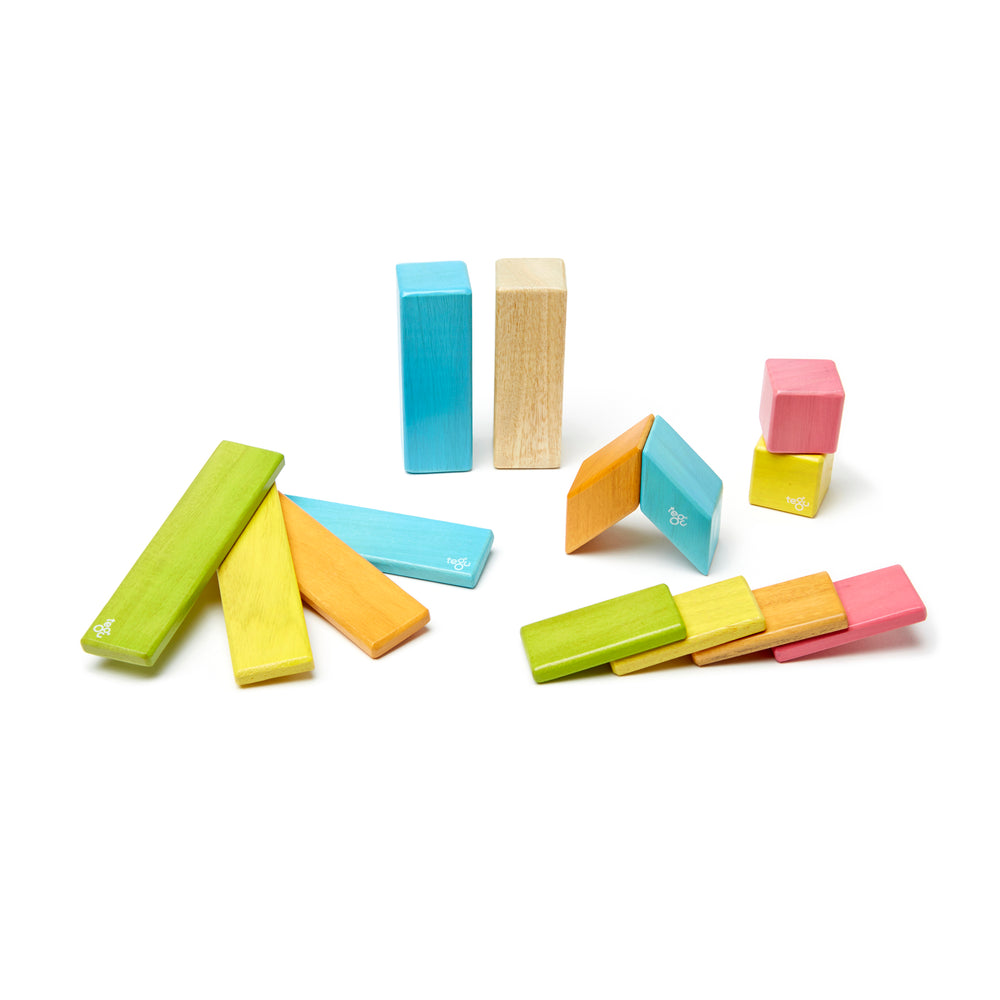 Tegu Magnetic Wooden Blocks, 14-Piece Set, Tints