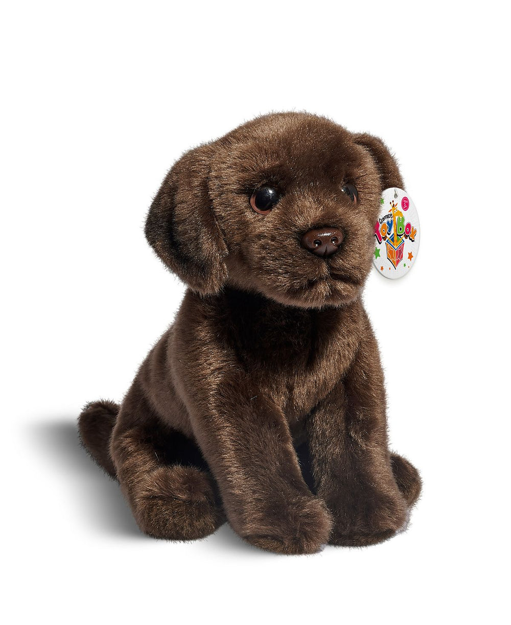 Geoffrey's Toy Box 10-inch Plush Labrador Puppy - Exclusive to Macy's