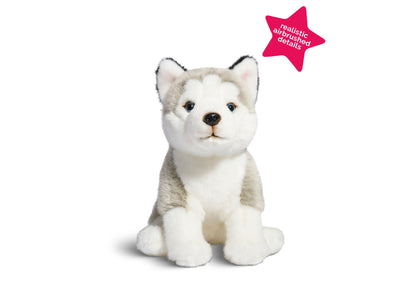 Geoffrey's Toy Box 10-inch Plush Floppy Husky Puppy - Exclusive to Macy's