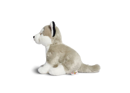 Geoffrey's Toy Box 10-inch Plush Floppy Husky Puppy - Exclusive to Macy's