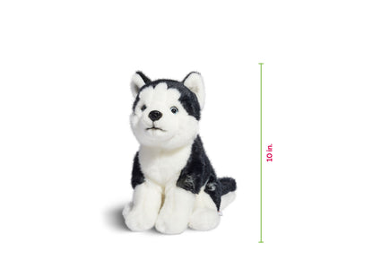 Geoffrey's Toy Box 10 inch Siberian Husky Plush Puppy - Exclusive at Macy's