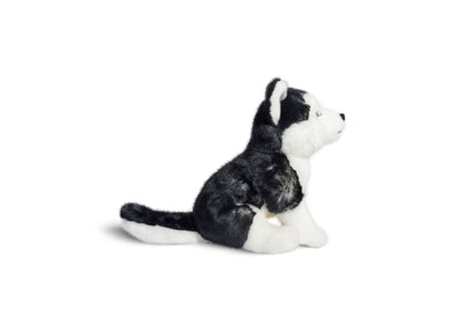 Geoffrey's Toy Box 10 inch Siberian Husky Plush Puppy - Exclusive at Macy's