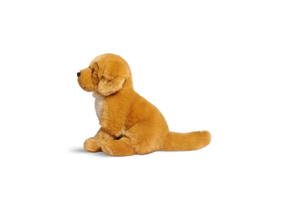 Geoffrey's Toy Box 10 inch Golden Retriever Puppy Plush Toy - Exclusive to Macy's