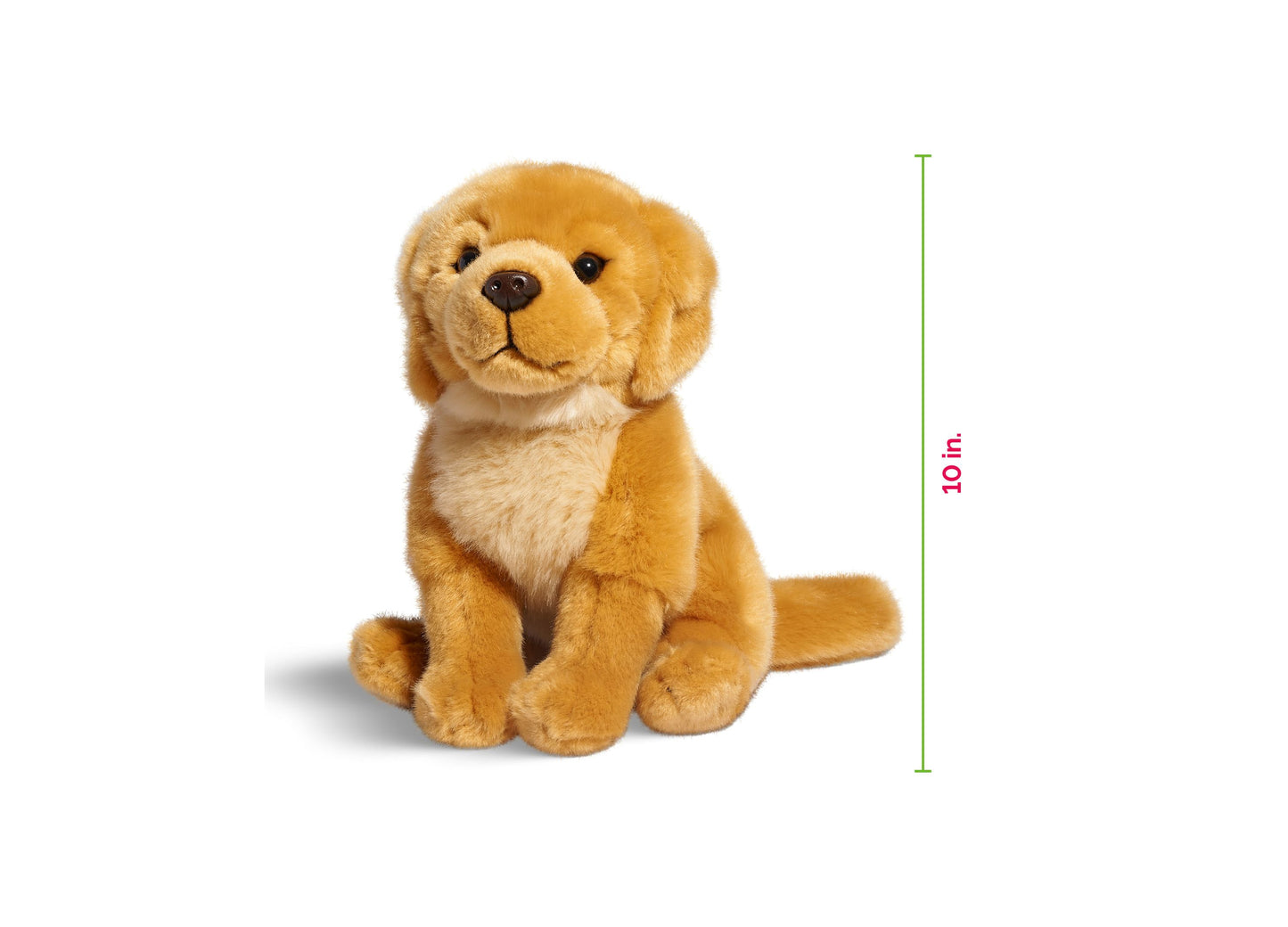 Geoffrey's Toy Box 10 inch Golden Retriever Puppy Plush Toy - Exclusive to Macy's