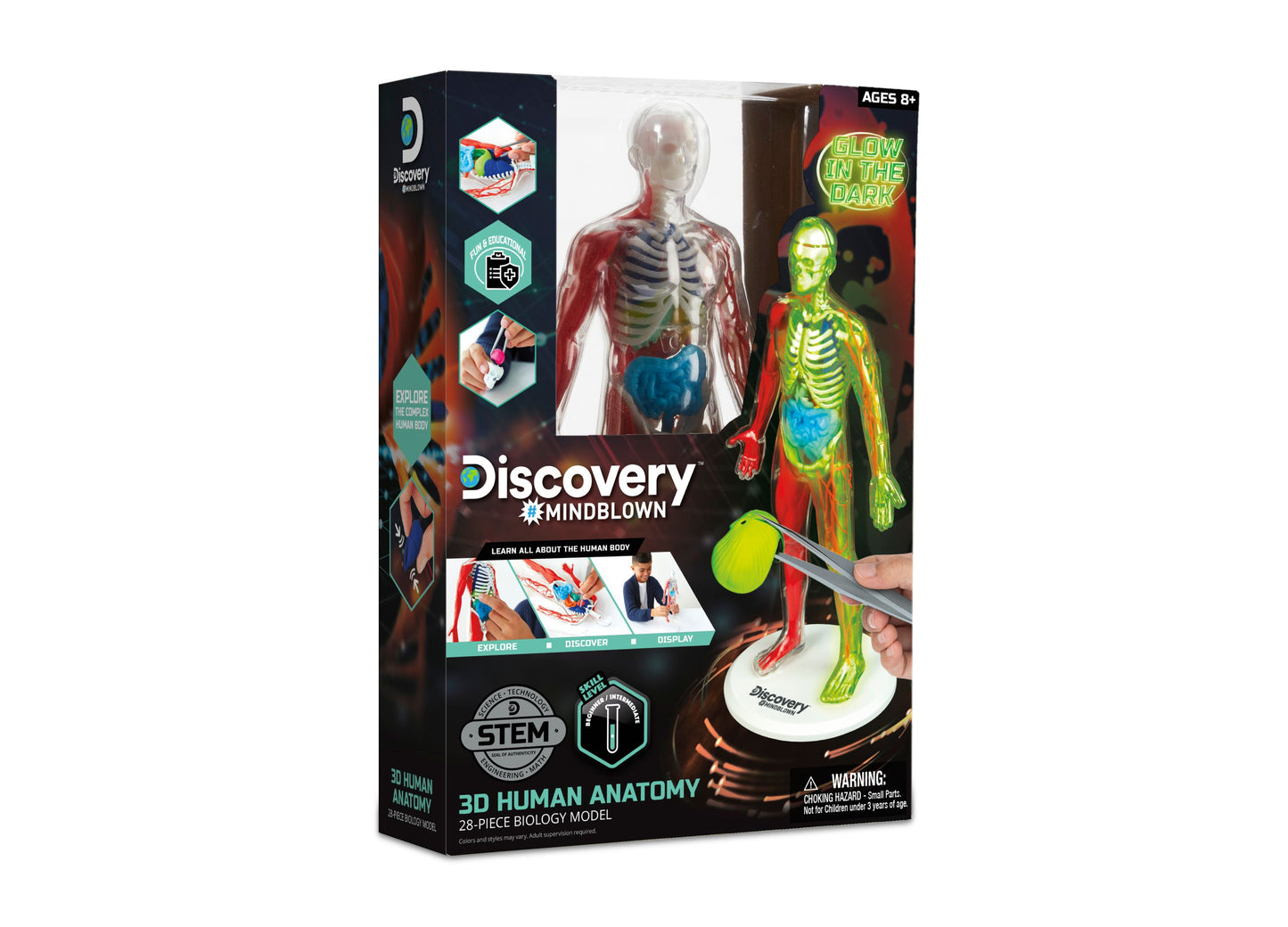 Discovery #MINDBLOWN 3D Human Anatomy Model Kit, 28-Piece Educational Set