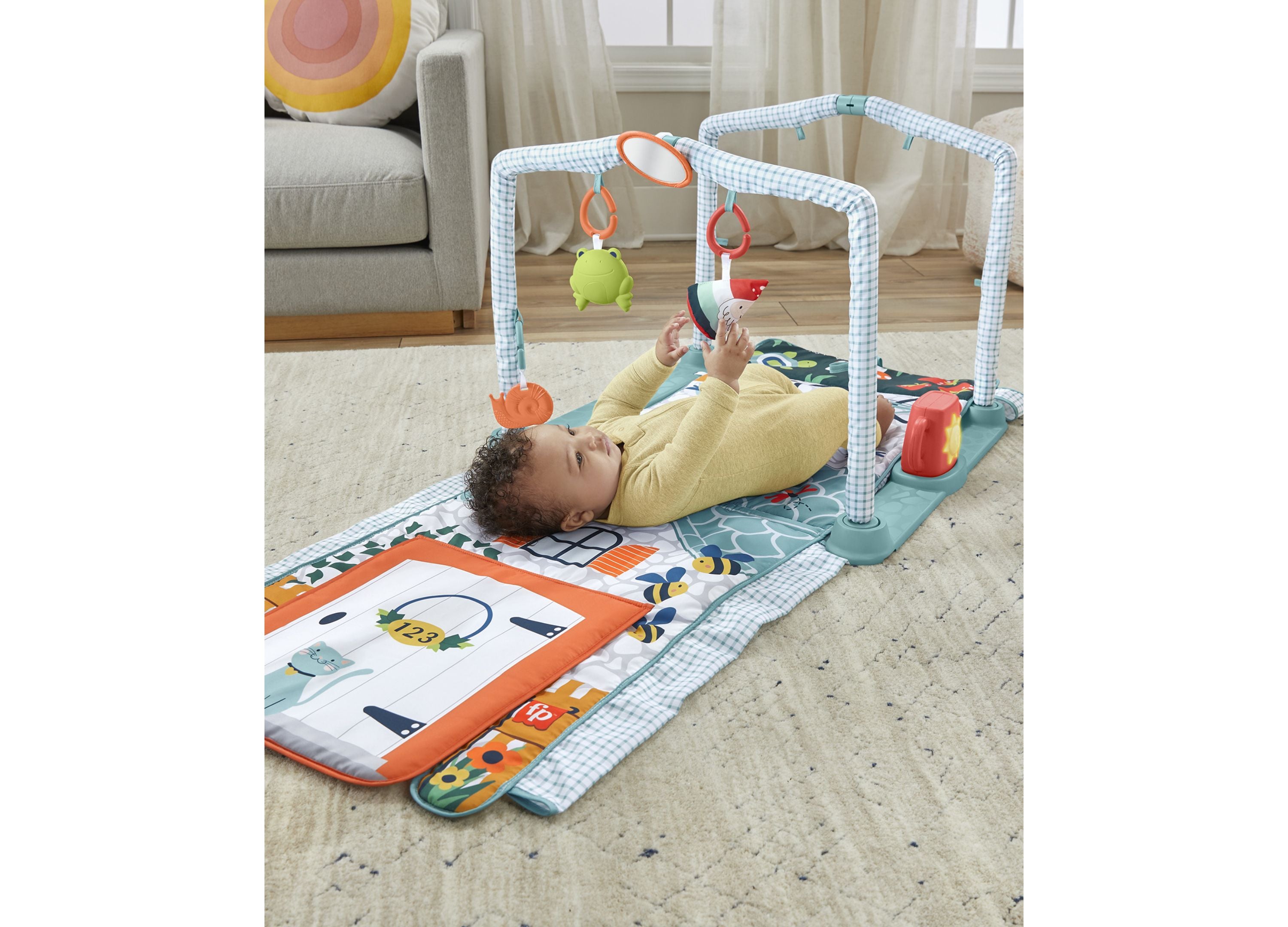 Activity gym toys r us online