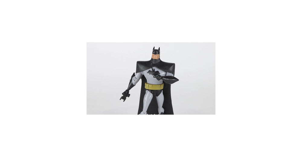 The New Batman Adventures 6 IN Wave 1-Batman