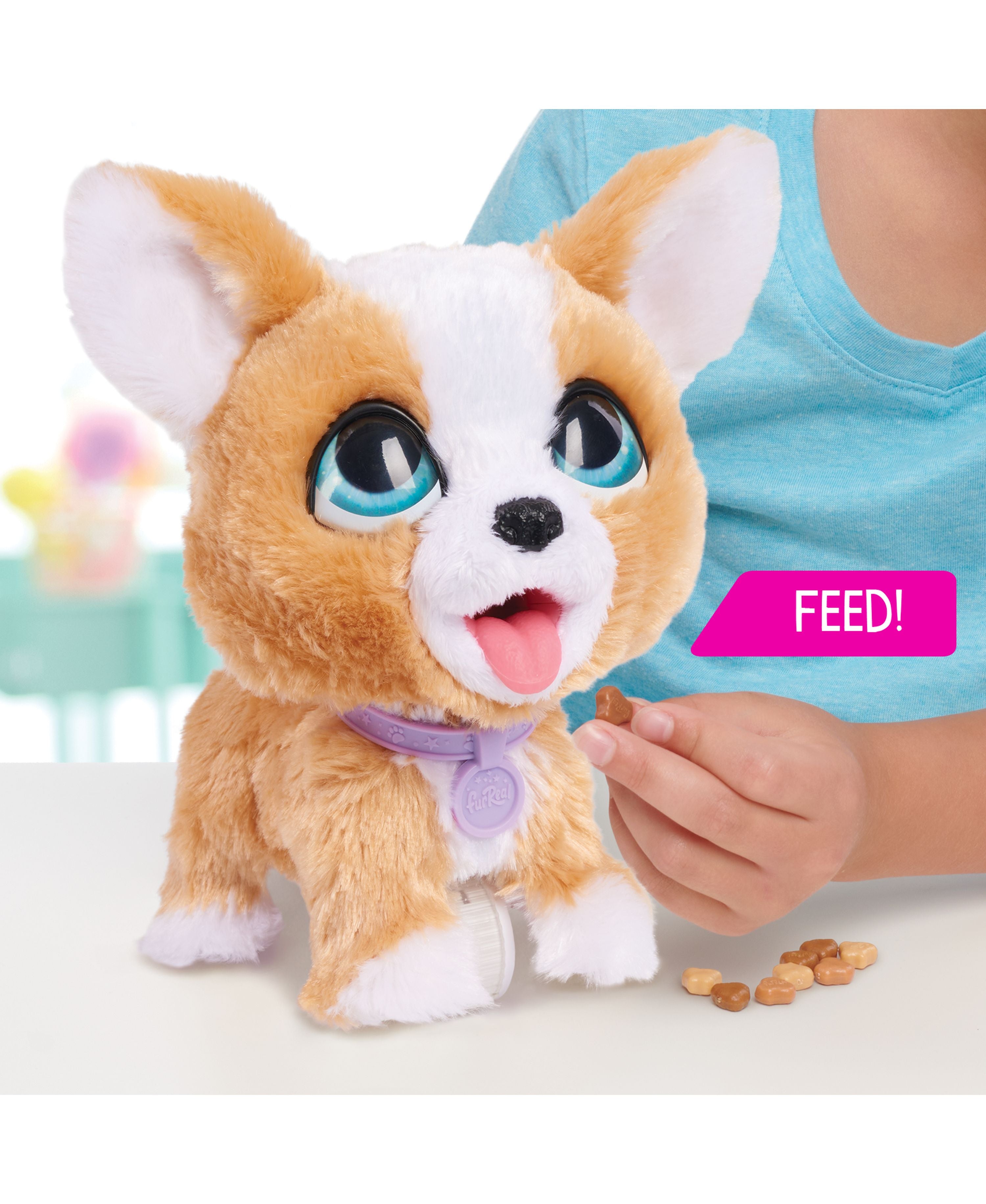 Furry friends toy fashion dog