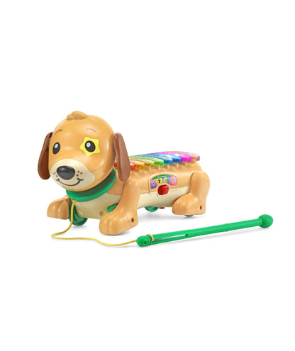 VTech Zoo Jamz Colorful Doggy Xylophone Musical Toy