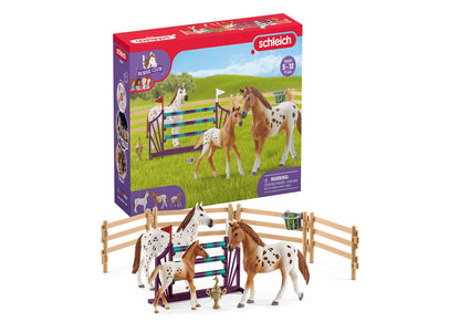 Schleich Horse Club: Lisa's Tournament Training - 11 Piece Playset