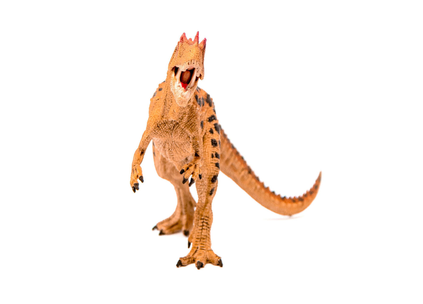 Schleich DINOSAURS Ceratosaurus Detailed Action Figure