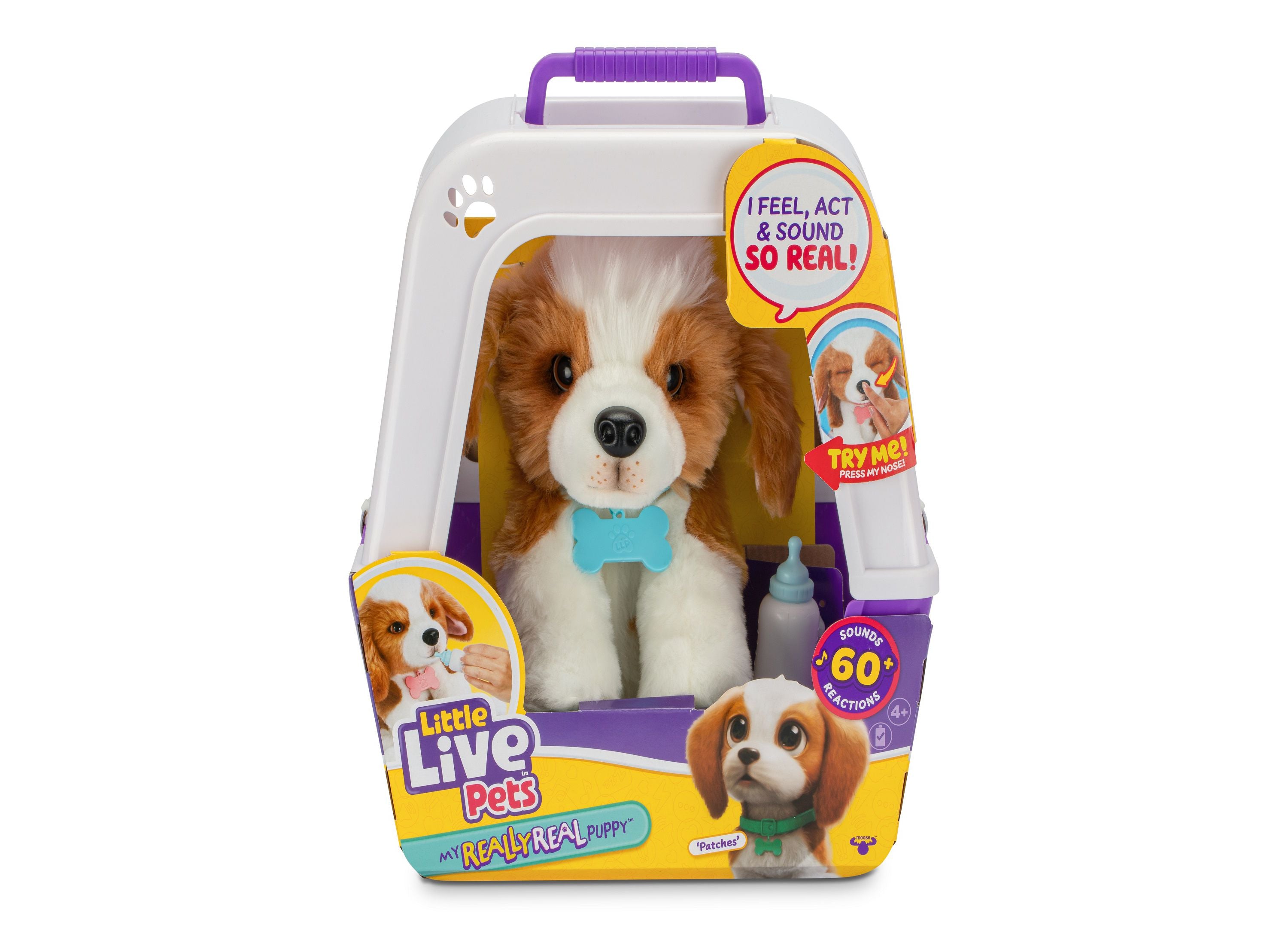 Dog toys r us fashion