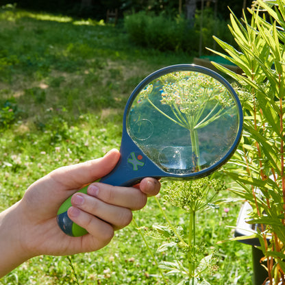 Terra Kids Handheld Dual-Lens Magnifier for Young Explorers