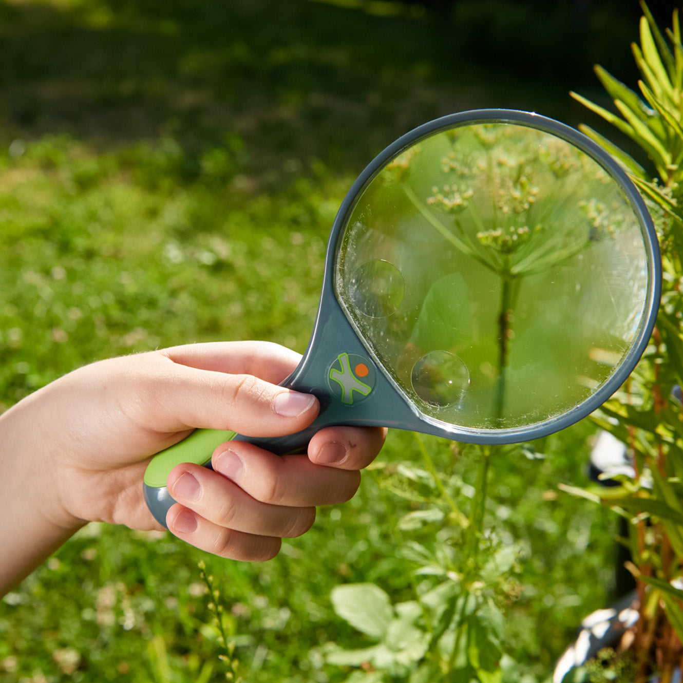 Terra Kids Handheld Dual-Lens Magnifier for Young Explorers