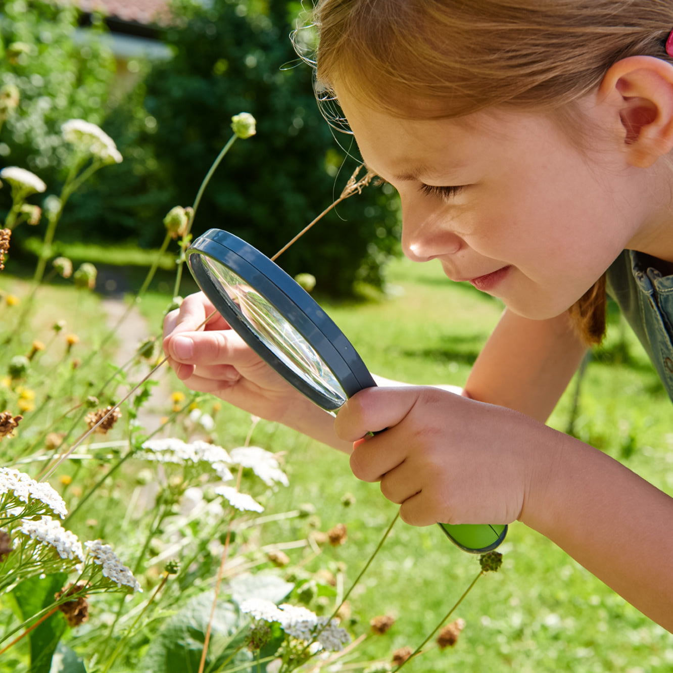 Terra Kids Handheld Dual-Lens Magnifier for Young Explorers