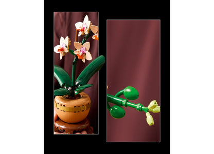 LEGO Botanical Collection Mini Orchid Display Set - 1034