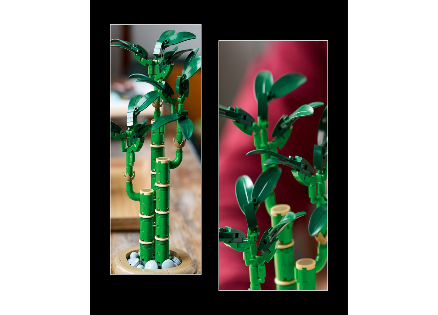 LEGO Botanicals Lucky Bamboo Building Set 10344, 325 Pieces