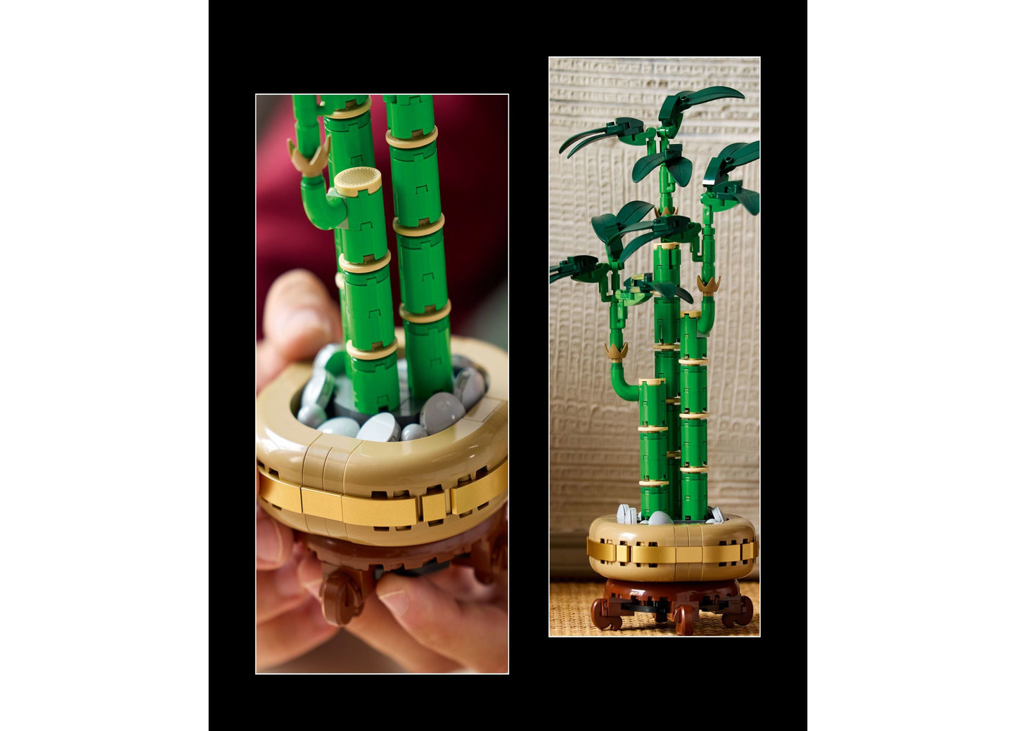 LEGO Botanicals Lucky Bamboo Building Set 10344, 325 Pieces