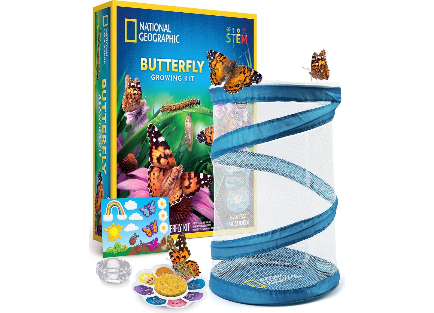 National Geographic Butterfly Growing Kit – Discover Metamorphosis