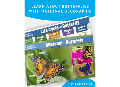 National Geographic Butterfly Growing Kit – Discover Metamorphosis