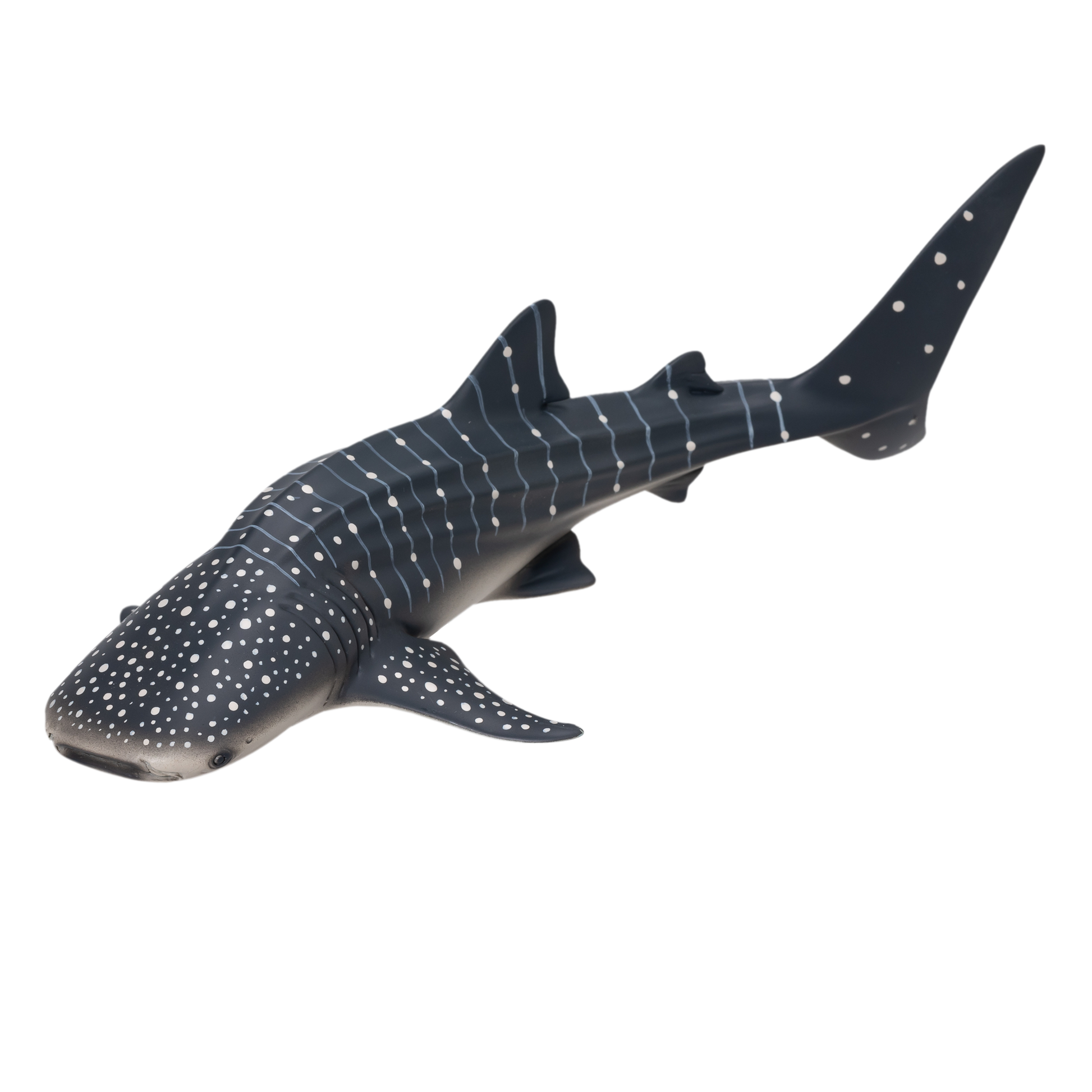 Whale Shark