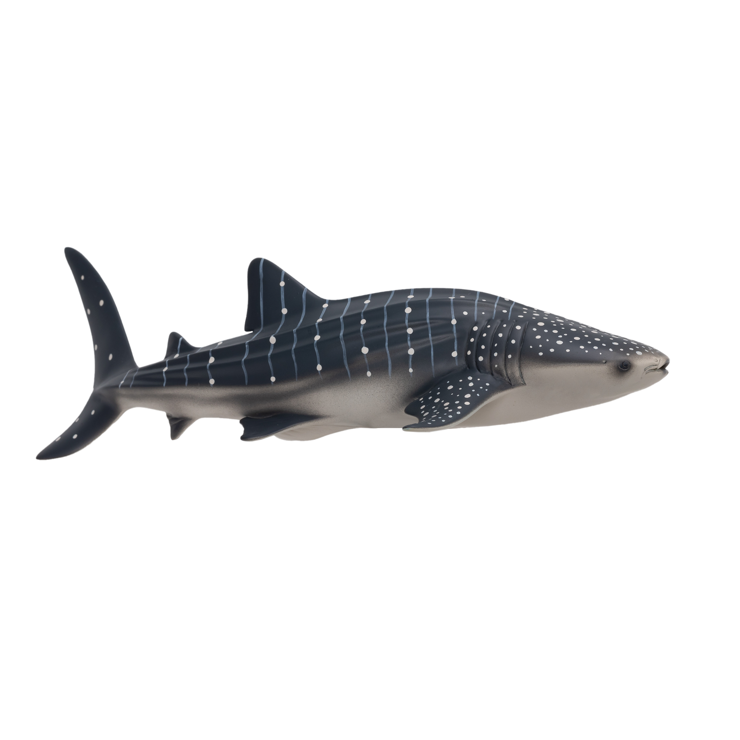 Whale Shark