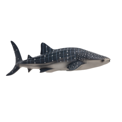 Whale Shark