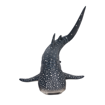 Whale Shark