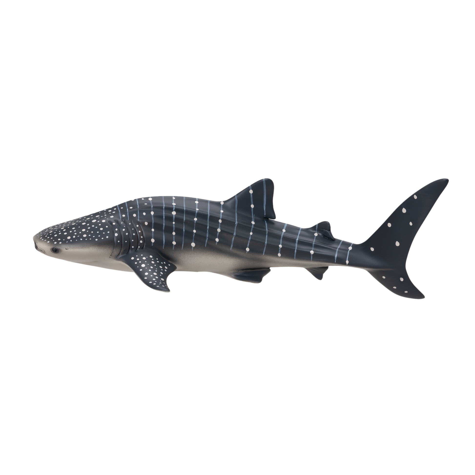 Whale Shark