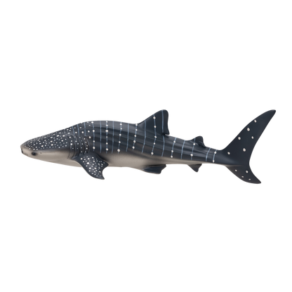 Whale Shark