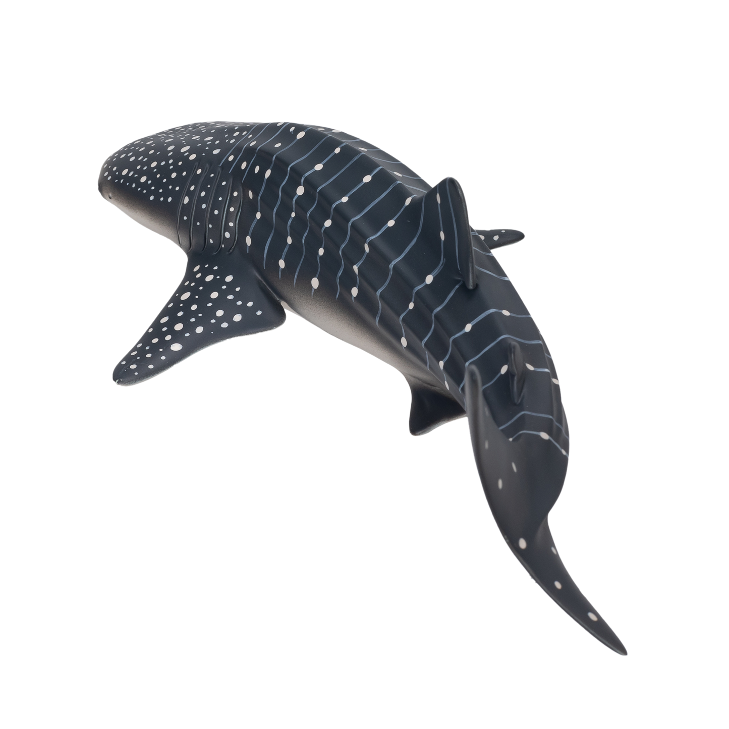 Whale Shark