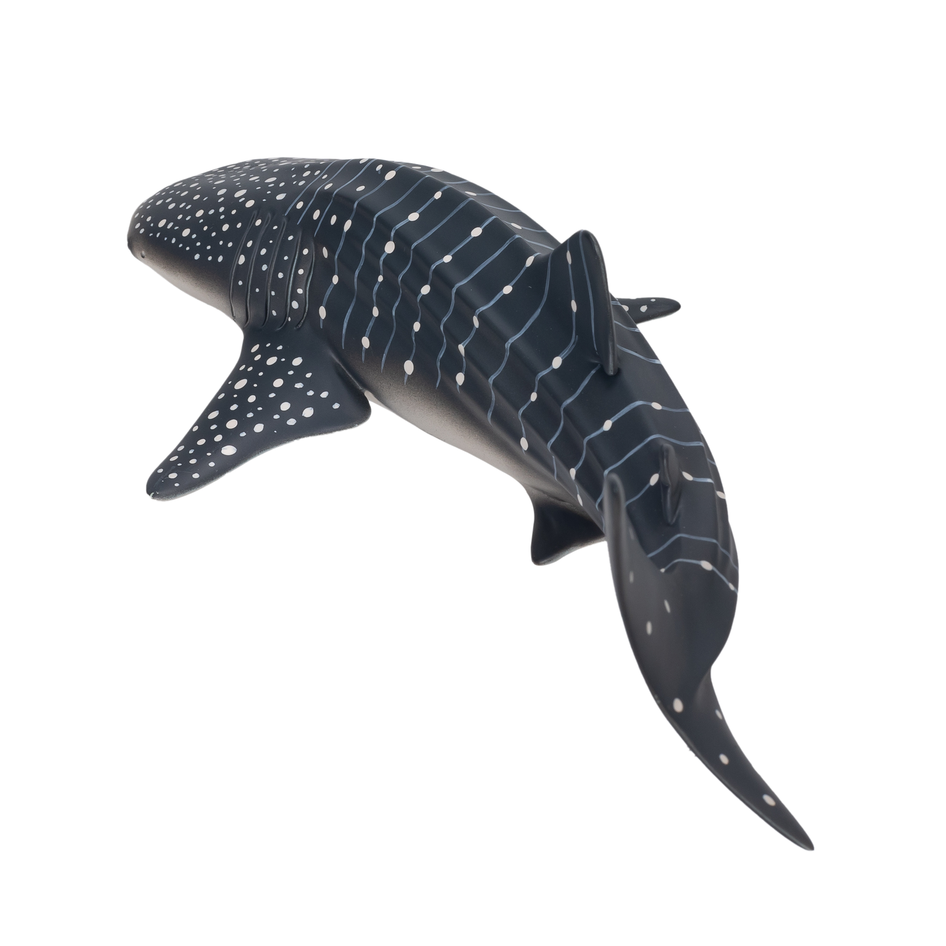 Whale Shark