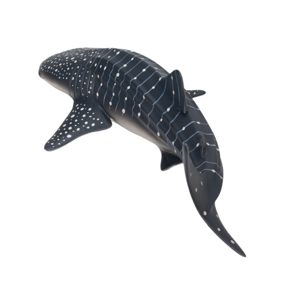 Whale Shark