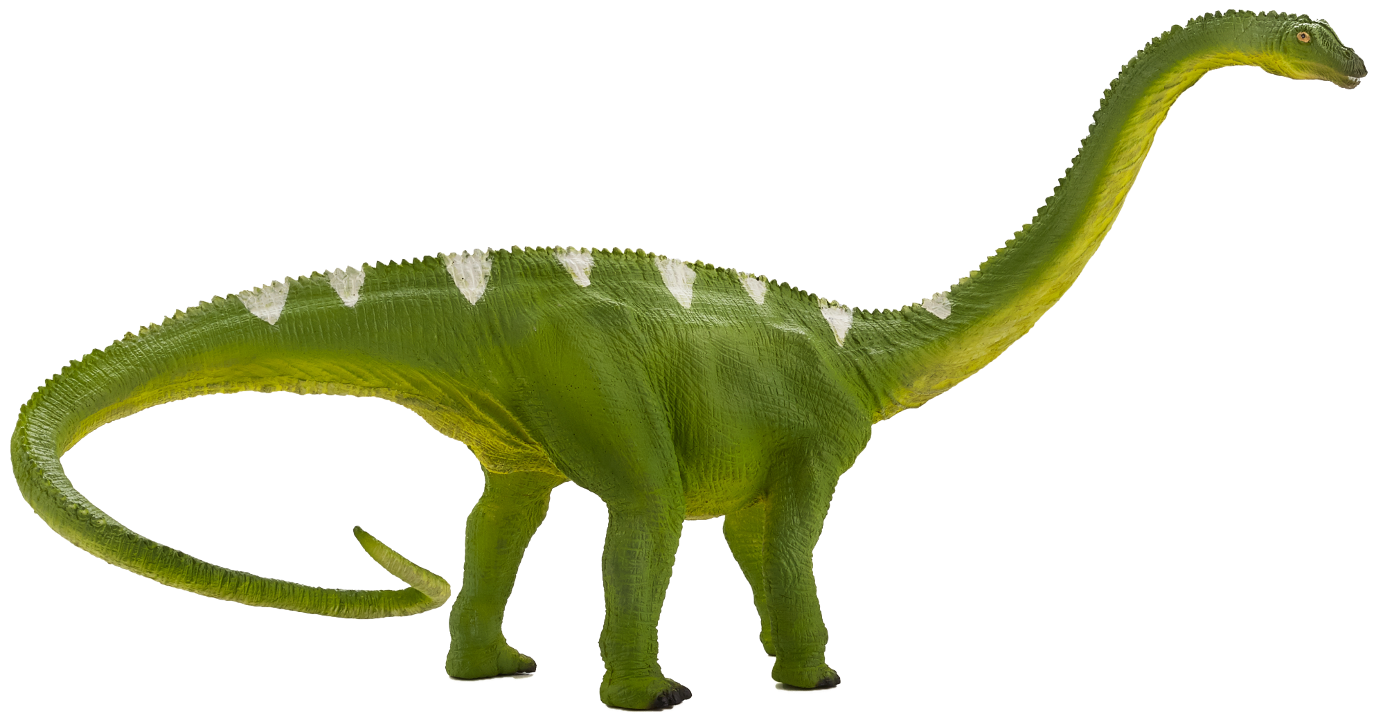 Mojo Lifelike Diplodocus Dinosaur Replica Toy – Toys