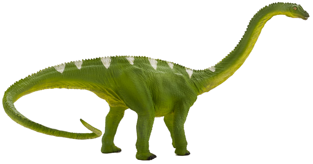 Diplodocus