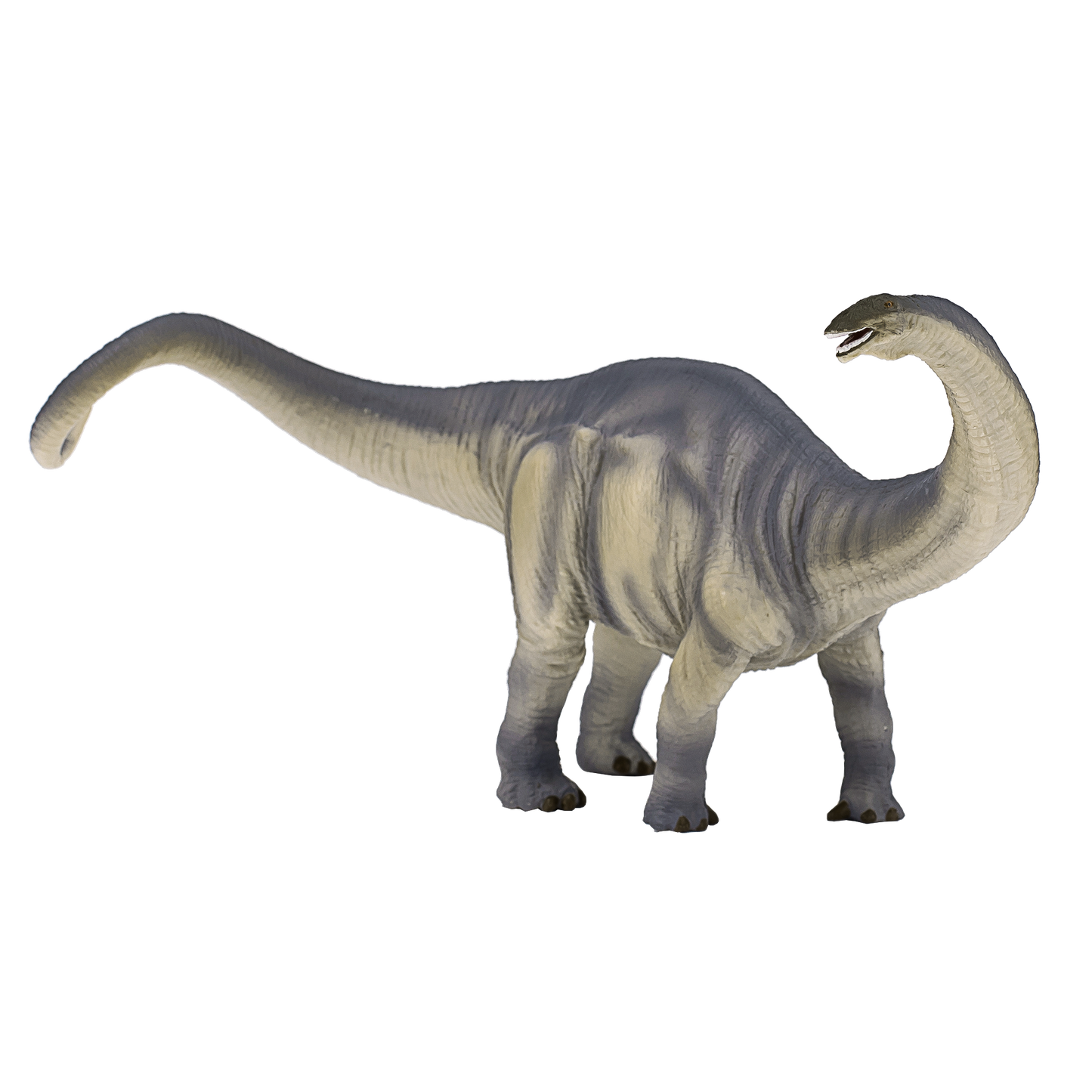 Deluxe Brontosaurus