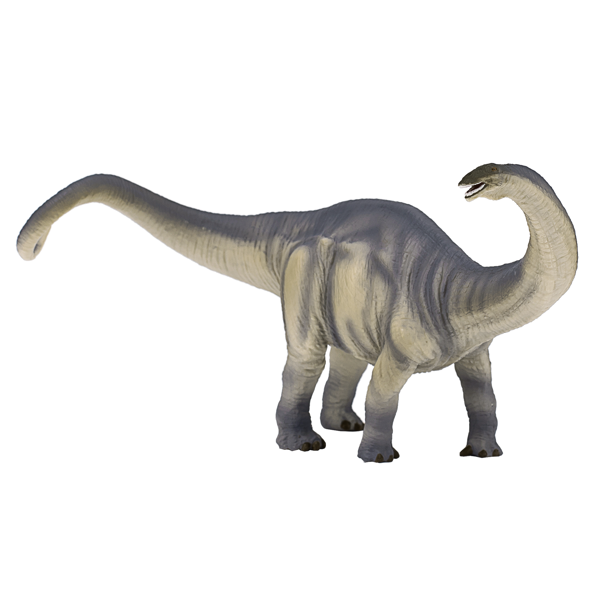 Deluxe Brontosaurus