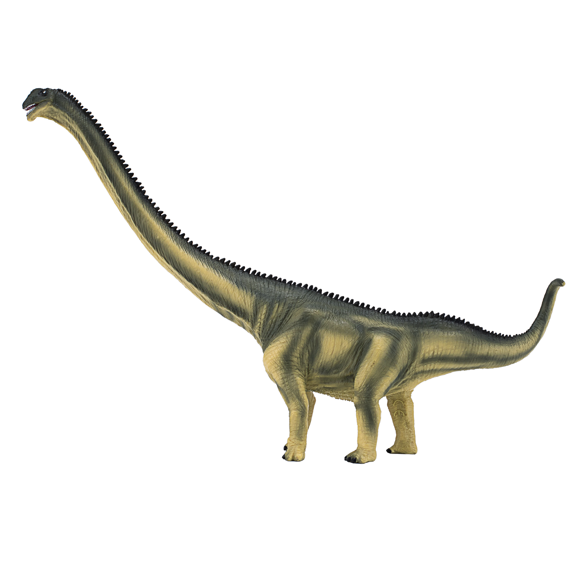 Deluxe Mamenchisaurus