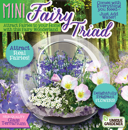 Enchanted Garden Mini Fairy Triad Glass Terrarium Kit