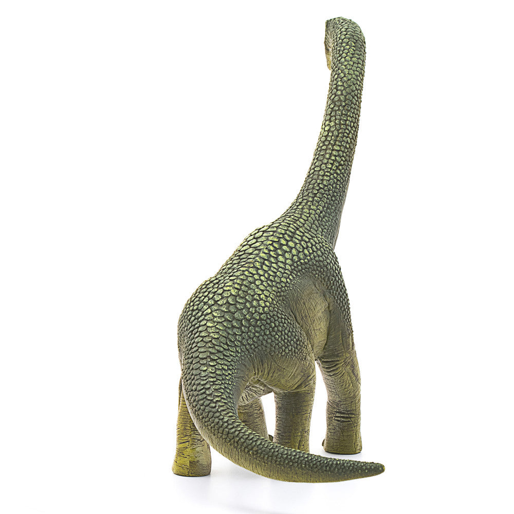 Schleich Hand-Painted Brachiosaurus Dinosaur Toy Figure, Highly Detailed Collectible