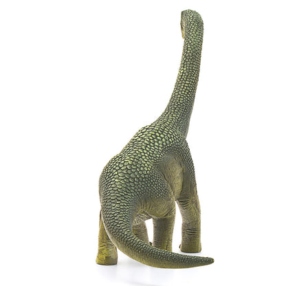 Schleich Hand-Painted Brachiosaurus Dinosaur Toy Figure, Highly Detailed Collectible