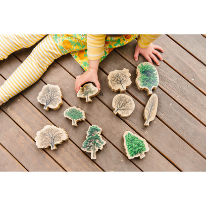 The Freckled Frog Seasons Wooden Trees - Educational Block Set