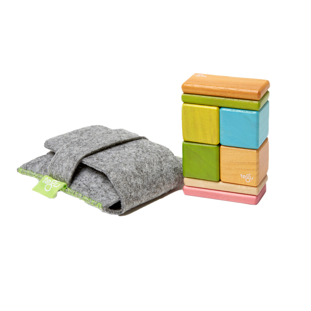 Tegu 8-Piece Magnetic Wooden Block Set - Pocket Pouch, Tints