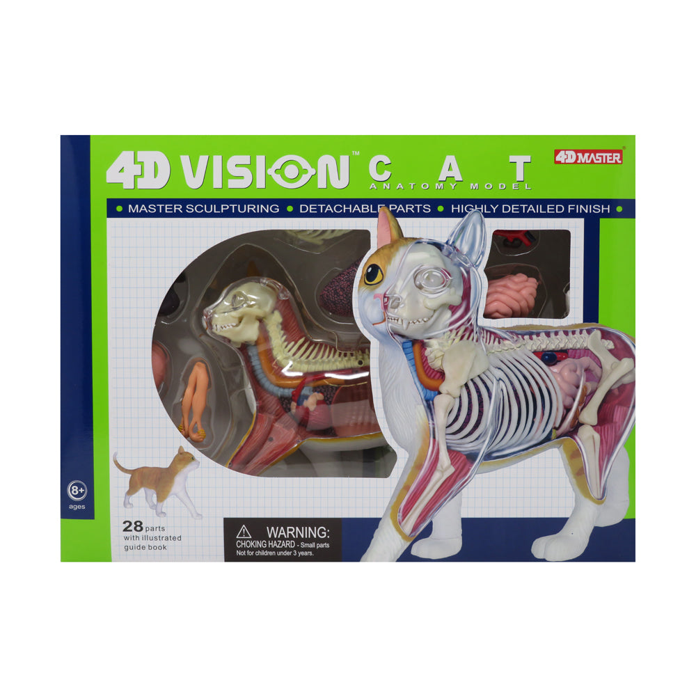 Be Good Company - 4D Vision Orange Cat Anatomy Model - Educational Toy